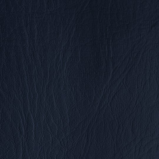 Richloom Outing Fortress&#xAE; Navy Home D&#xE9;cor Fabric